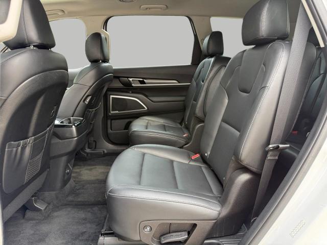 2020 Kia Telluride Vehicle Photo in Appleton, WI 54914