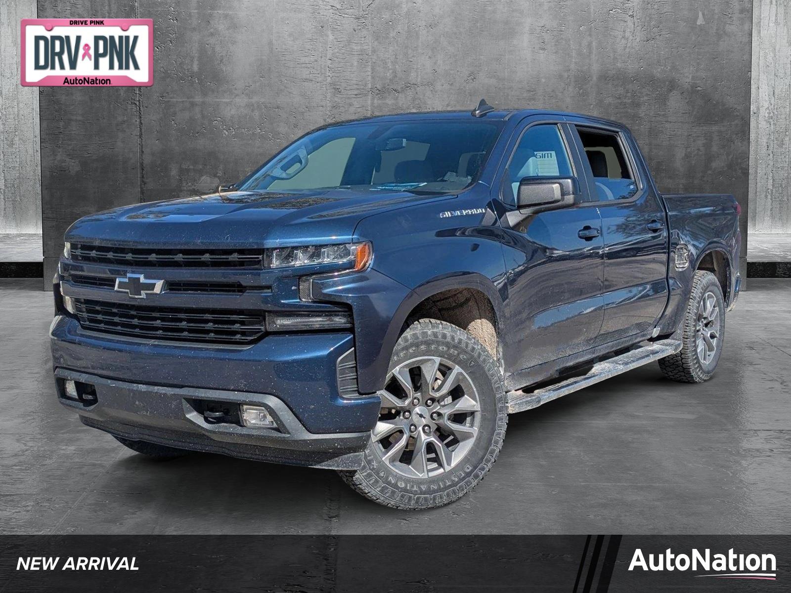 2019 Chevrolet Silverado 1500 Vehicle Photo in Jacksonville, FL 32244