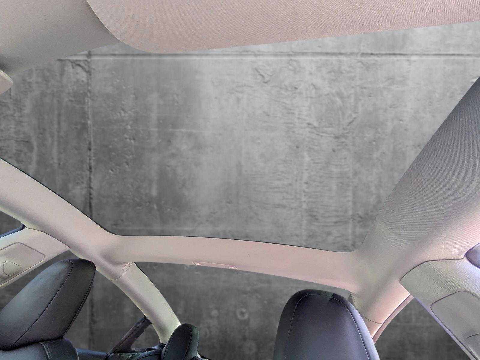 2022 Tesla Model 3 Vehicle Photo in Clearwater, FL 33761