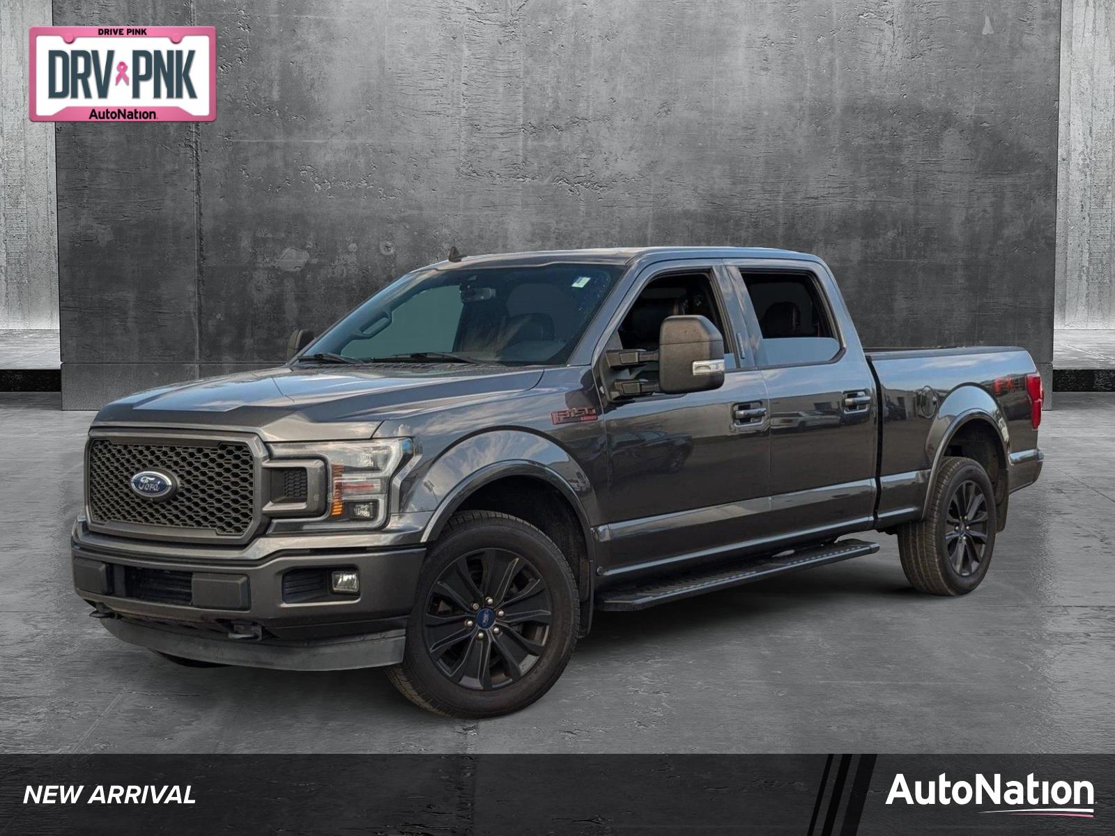 2019 Ford F-150 Vehicle Photo in St. Petersburg, FL 33713