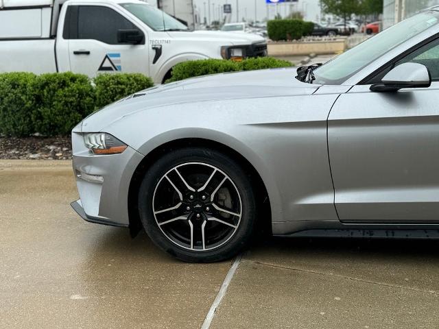 2023 Ford Mustang Vehicle Photo in San Antonio, TX 78230