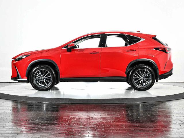 2024 Lexus NX 250 Vehicle Photo in DALLAS, TX 75235