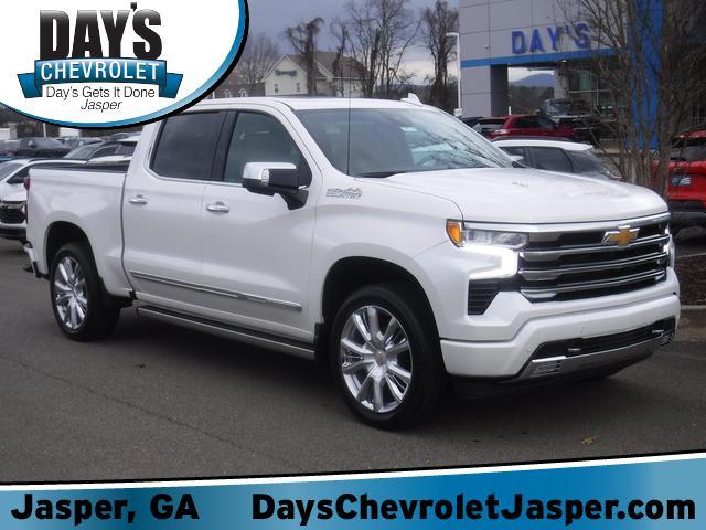 2025 Chevrolet Silverado 1500 Vehicle Photo in JASPER, GA 30143-8655