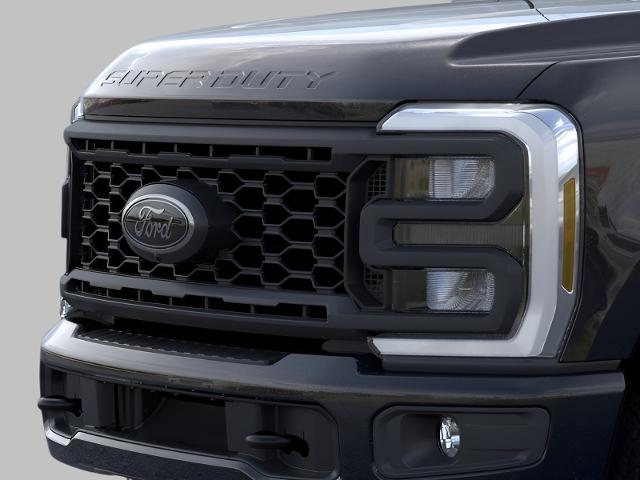 2025 Ford Super Duty F-250 SRW Vehicle Photo in Neenah, WI 54956