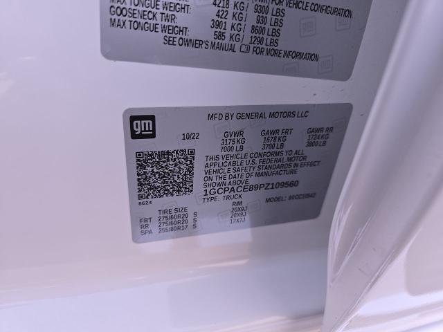 2023 Chevrolet Silverado 1500 Vehicle Photo in NEDERLAND, TX 77627-8017