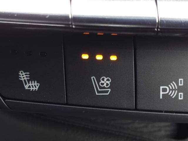 2025 Cadillac CT5 Vehicle Photo in Denton, TX 76205