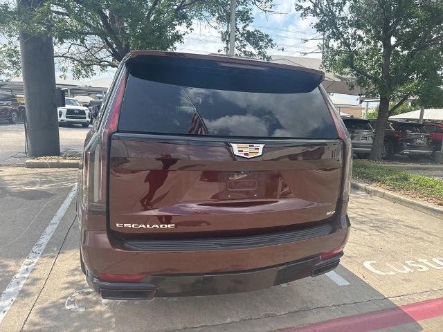 2023 Cadillac Escalade ESV Vehicle Photo in San Antonio, TX 78230