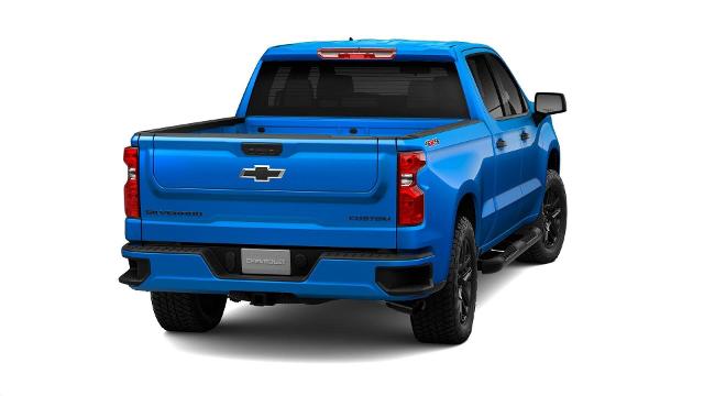 2025 Chevrolet Silverado 1500 Vehicle Photo in Gaffney, SC 29341