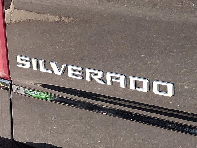 2023 Chevrolet Silverado 1500 Vehicle Photo in PAWLING, NY 12564-3219