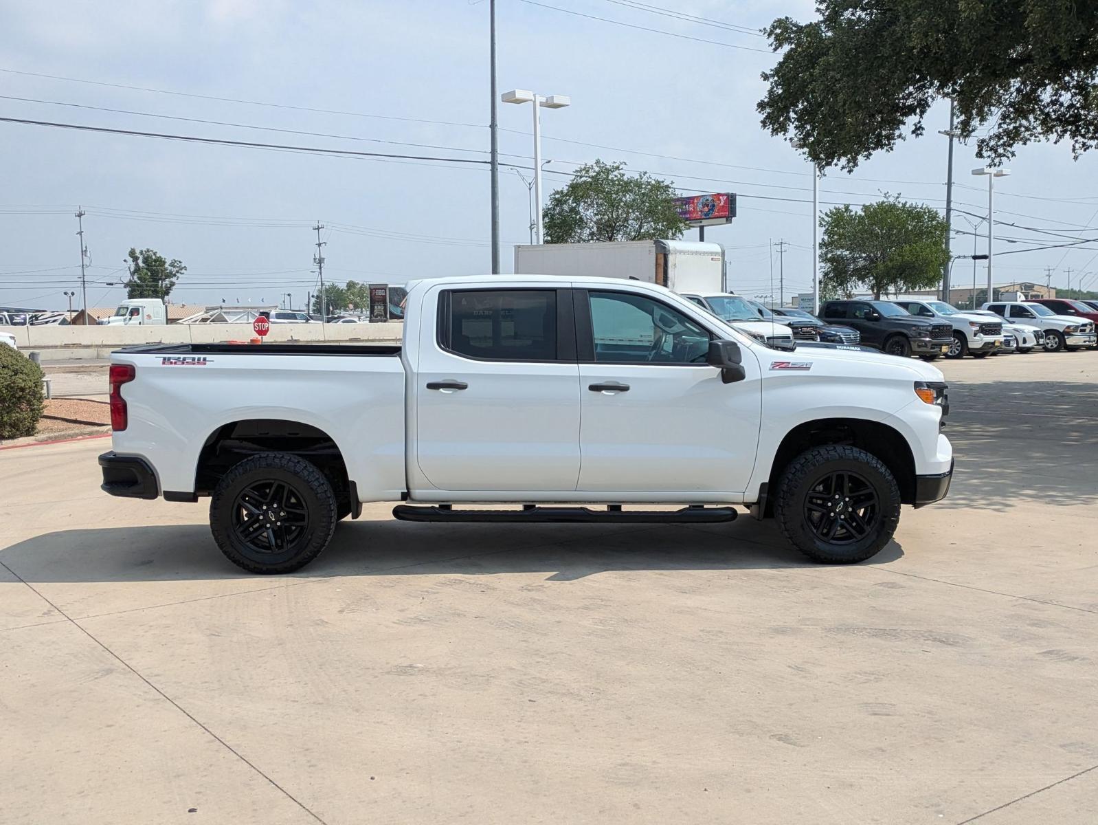 2022 Chevrolet Silverado 1500 Vehicle Photo in SELMA, TX 78154-1460