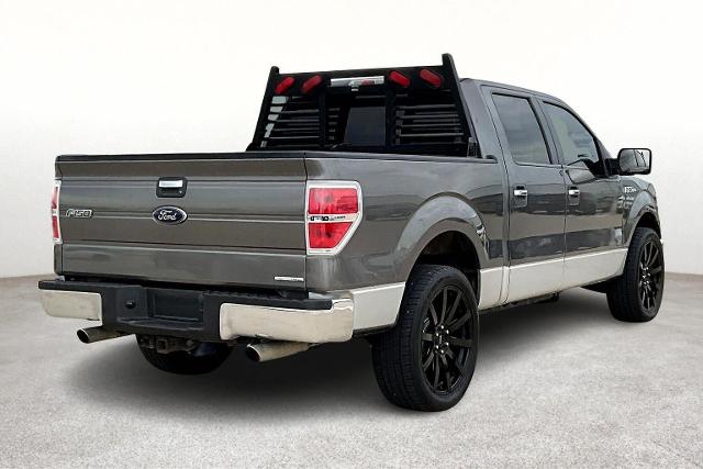 2013 Ford F-150 Vehicle Photo in San Antonio, TX 78230
