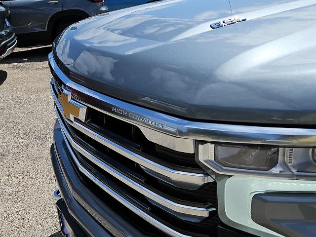 2025 Chevrolet Silverado 1500 Vehicle Photo in SAN ANGELO, TX 76903-5798