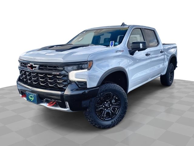 2022 Chevrolet Silverado 1500 Vehicle Photo in WILLIAMSVILLE, NY 14221-2883