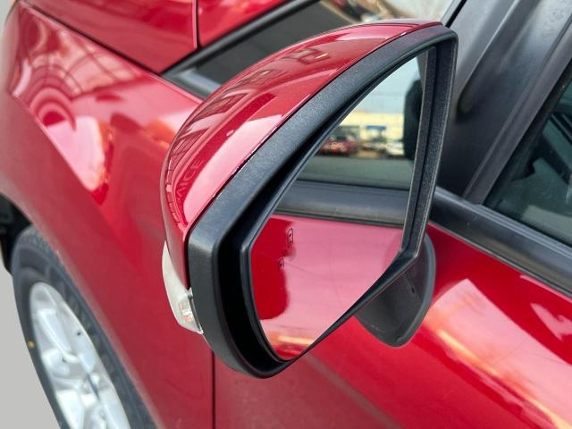 2019 Ford EcoSport Vehicle Photo in Oshkosh, WI 54904