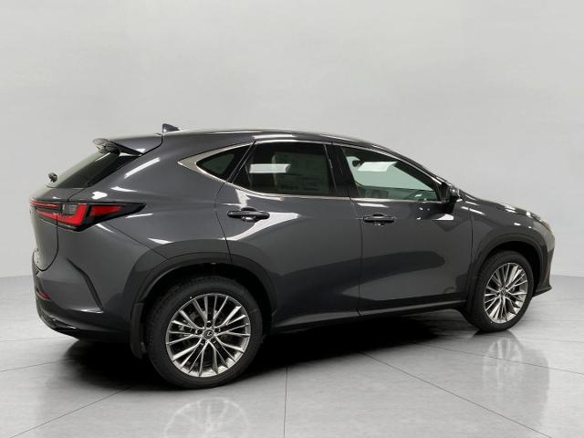 2025 Lexus NX 350 Vehicle Photo in Appleton, WI 54913