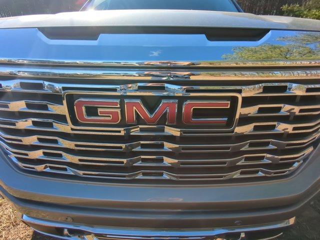 2025 GMC Sierra 1500 Vehicle Photo in ALBERTVILLE, AL 35950-0246