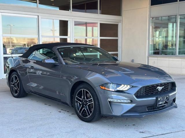 2022 Ford Mustang Vehicle Photo in San Antonio, TX 78230