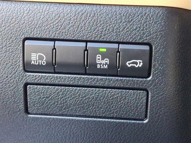 2019 Lexus NX 300h Vehicle Photo in DANBURY, CT 06810-5034
