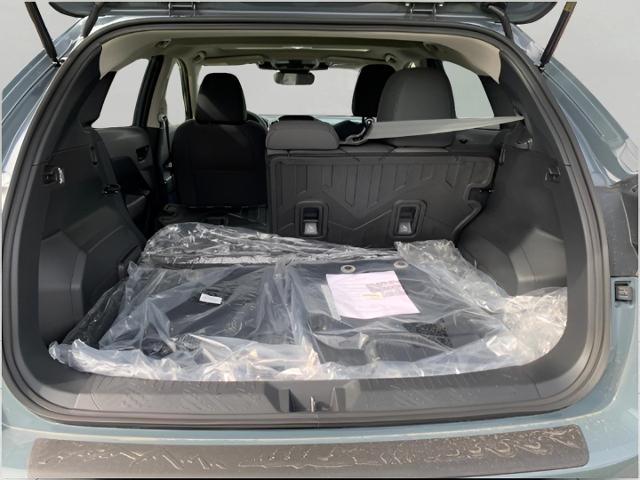 2025 Subaru Crosstrek Vehicle Photo in Oshkosh, WI 54904