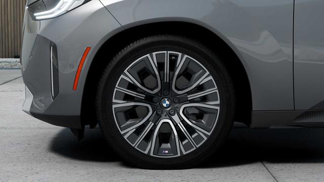 2025 BMW X3 30 xDrive Vehicle Photo in GRAPEVINE, TX 76051
