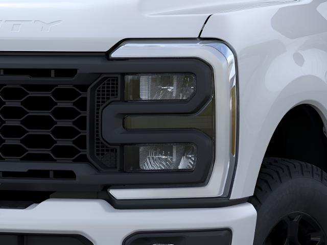 2025 Ford Super Duty F-350 SRW Vehicle Photo in Oshkosh, WI 54901