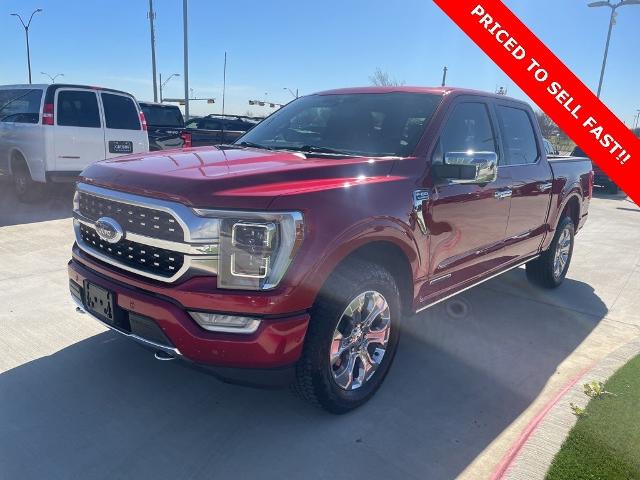 2022 Ford F-150 Vehicle Photo in San Antonio, TX 78230