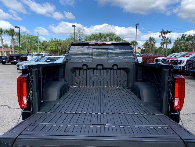 2025 GMC Sierra 1500 Vehicle Photo in BEAUFORT, SC 29906-4218