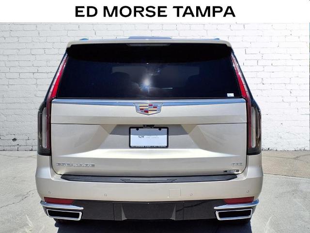 2021 Cadillac Escalade Vehicle Photo in TAMPA, FL 33612-3404