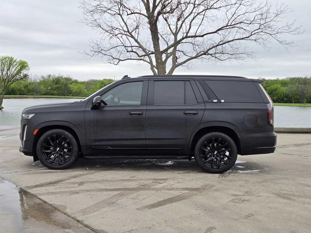 2021 Cadillac Escalade Vehicle Photo in DENTON, TX 76210-9321