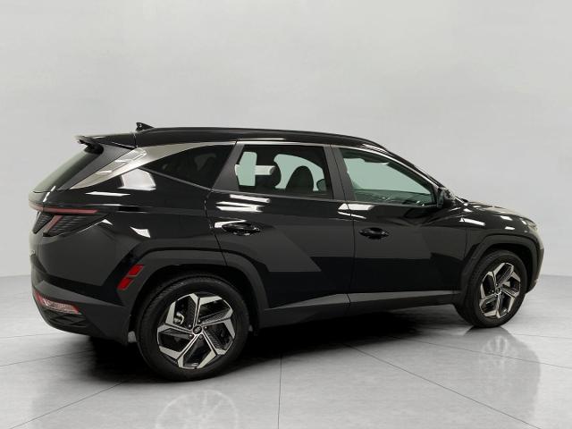 2024 Hyundai TUCSON Vehicle Photo in Appleton, WI 54913
