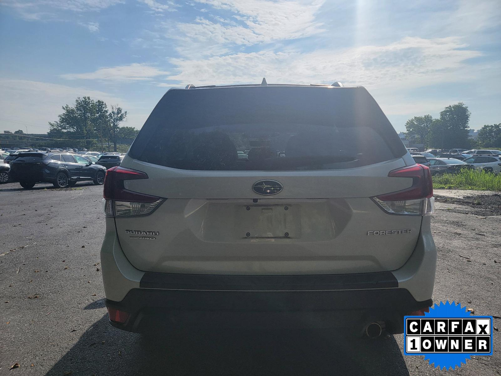2022 Subaru Forester Vehicle Photo in Harrisburg, PA 17111