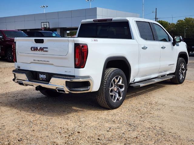 2025 GMC Sierra 1500 Vehicle Photo in PARIS, TX 75460-2116