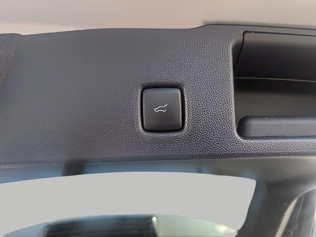 2024 Ford Escape Vehicle Photo in Neenah, WI 54956