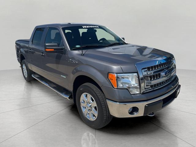 2014 Ford F-150 Vehicle Photo in MANITOWOC, WI 54220-5838
