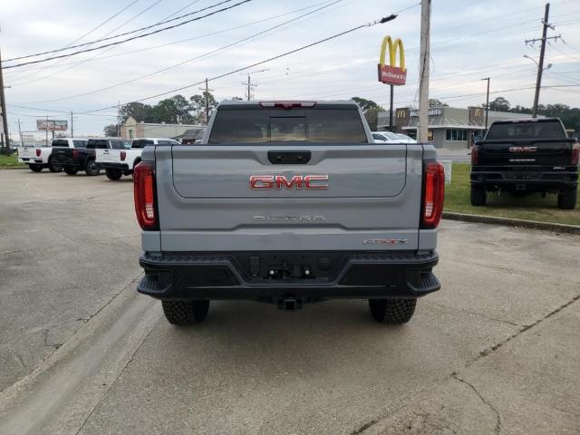 2025 GMC Sierra 1500 Vehicle Photo in LAFAYETTE, LA 70503-4541