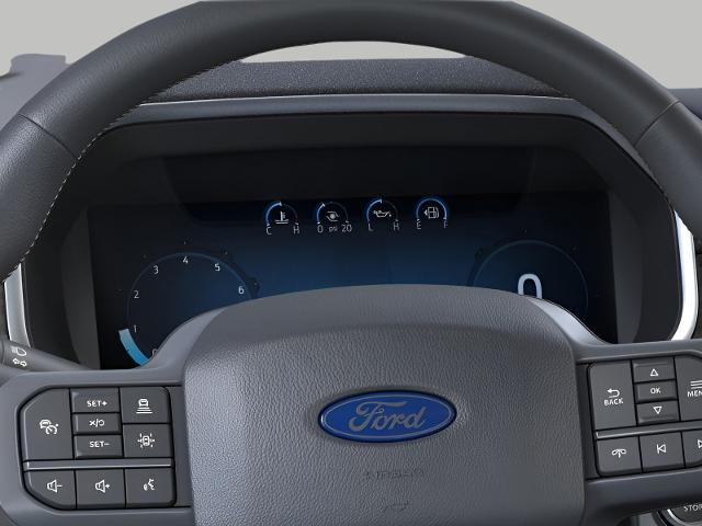 2025 Ford F-150 Vehicle Photo in Green Bay, WI 54304
