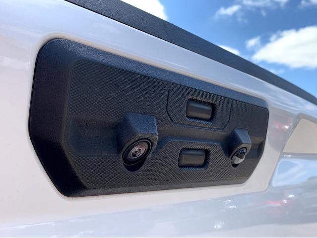2024 GMC Sierra 1500 Vehicle Photo in BEAUFORT, SC 29906-4218