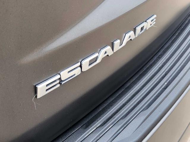 2025 Cadillac Escalade ESV Vehicle Photo in DENTON, TX 76210-9321