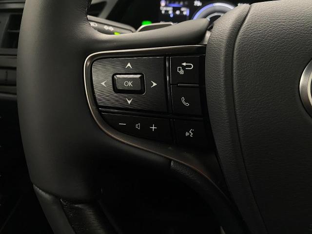 2025 Lexus ES 300h Vehicle Photo in Appleton, WI 54913