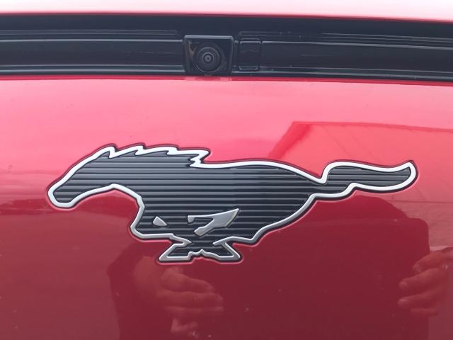 2021 Ford Mustang Mach-E Vehicle Photo in GREEN BAY, WI 54303-3330