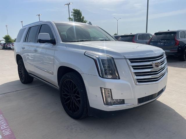 2018 Cadillac Escalade Vehicle Photo in San Antonio, TX 78230