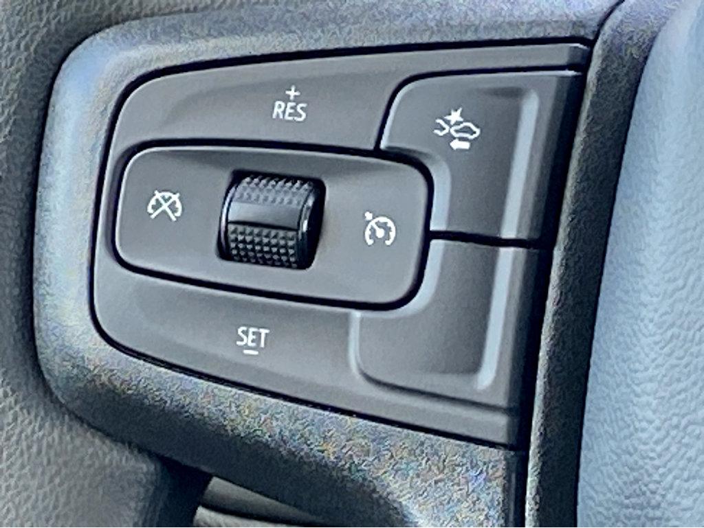 2025 Chevrolet Silverado 1500 Vehicle Photo in BEAUFORT, SC 29906-4218