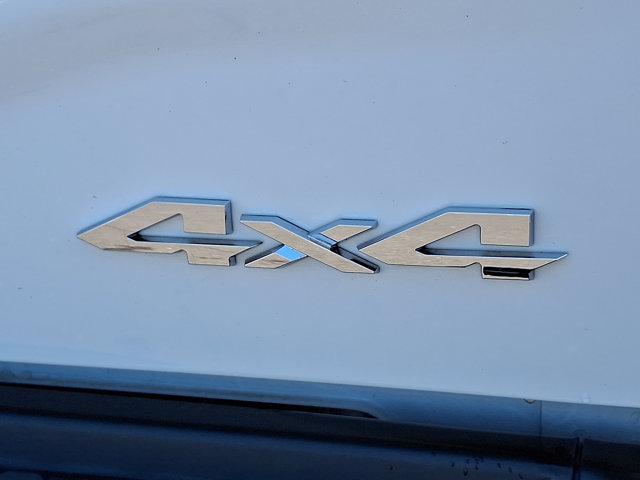 2024 Ram 2500 Vehicle Photo in Philadelphia, PA 19116