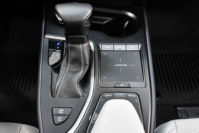 2022 Lexus UX 250h Vehicle Photo in DALLAS, TX 75235
