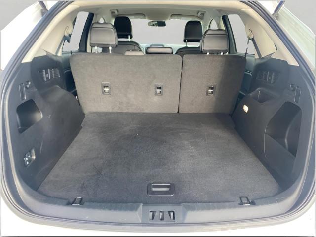 2024 Ford Edge Vehicle Photo in APPLETON, WI 54914-8833