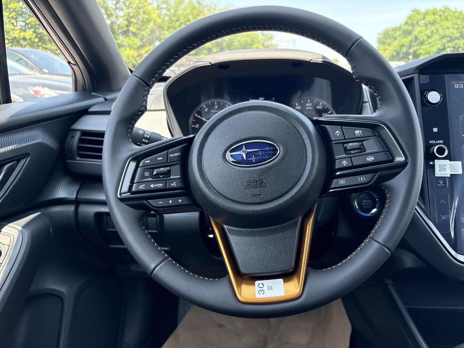 2025 Subaru Crosstrek Vehicle Photo in Mechanicsburg, PA 17050