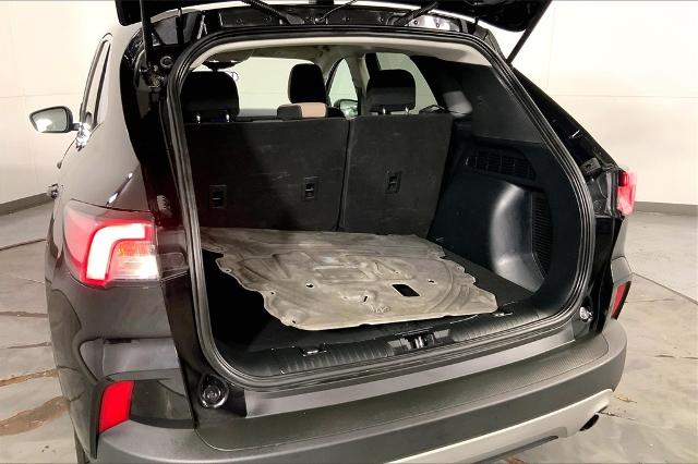 2022 Ford Escape Vehicle Photo in Kansas City, MO 64114