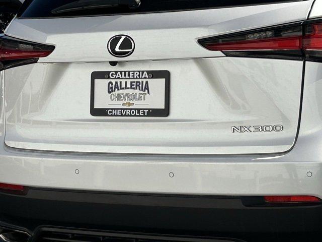 2020 Lexus NX Vehicle Photo in DALLAS, TX 75244-5909