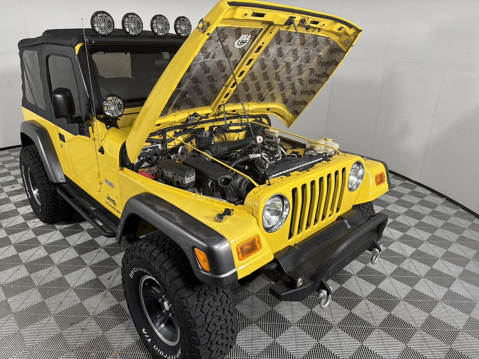 2004 Jeep Wrangler Vehicle Photo in Georgetown, TX 78626