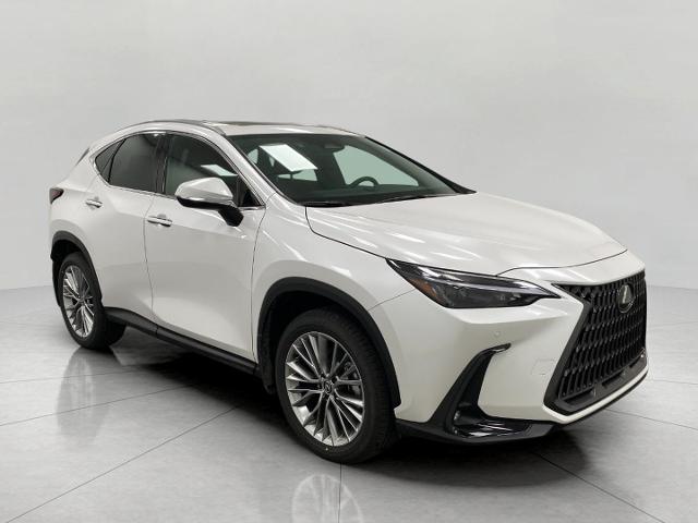 2025 Lexus NX 350 Vehicle Photo in Appleton, WI 54913